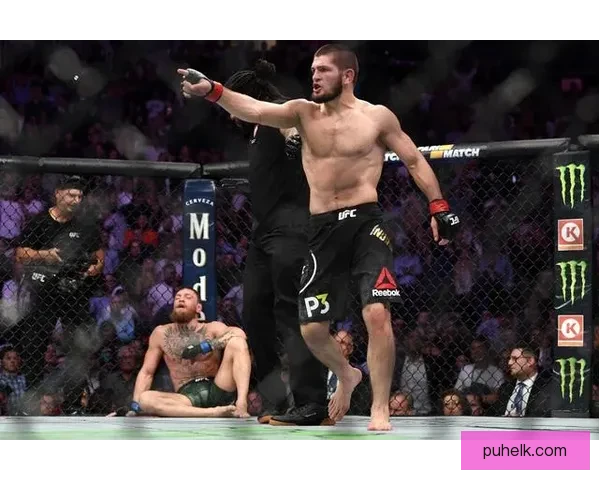 UFC历史经典对决：蜘蛛人对决嘴炮，巅峰对决谁能称王