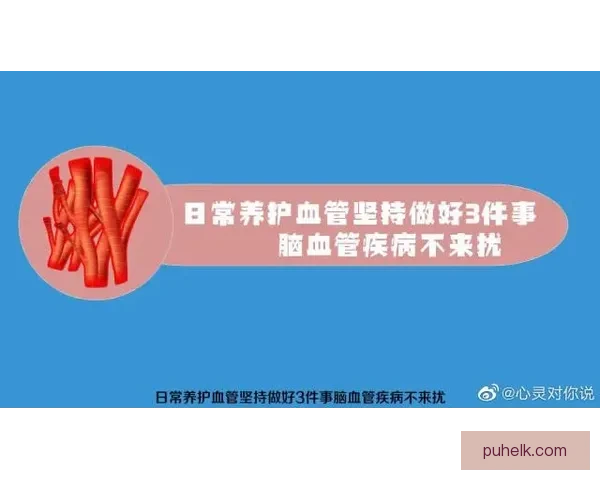 以vs2011为核心的软件开发环境演进与实践应用全景解析